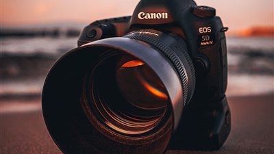 article