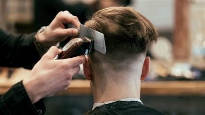 article