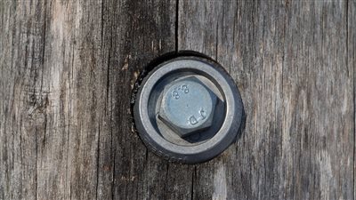 article