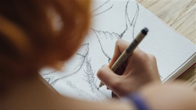 article