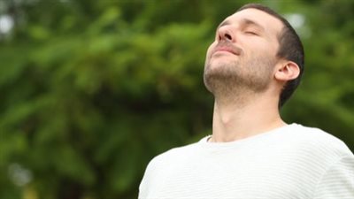article