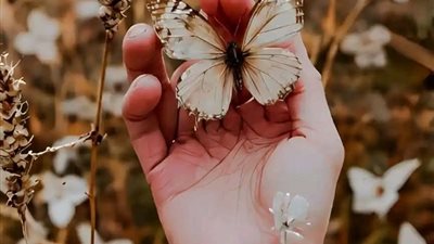 article