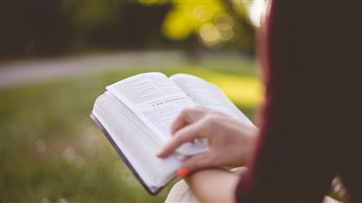 article
