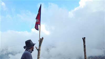 article
