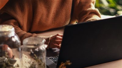 article